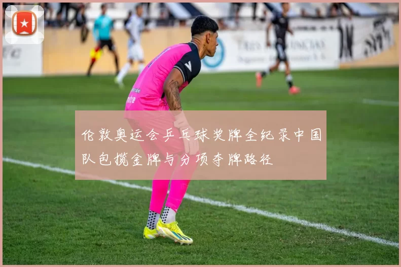 伦敦奥运会乒乓球奖牌全纪录中国队包揽金牌与分项夺牌路径