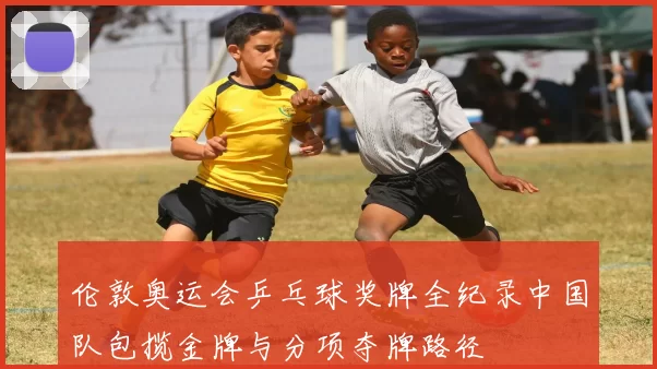 伦敦奥运会乒乓球奖牌全纪录中国队包揽金牌与分项夺牌路径