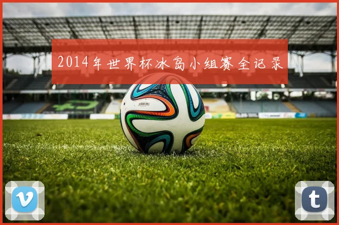 2014年世界杯冰岛小组赛全记录