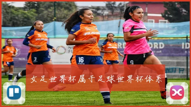 女足世界杯属于足球世界杯体系