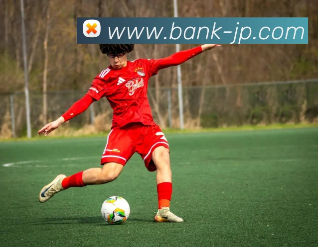 九游j9官方网站入口全站App